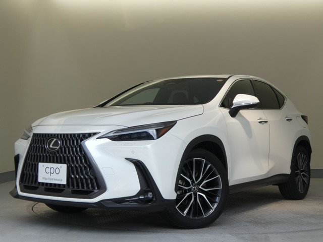 Lexus NX 1