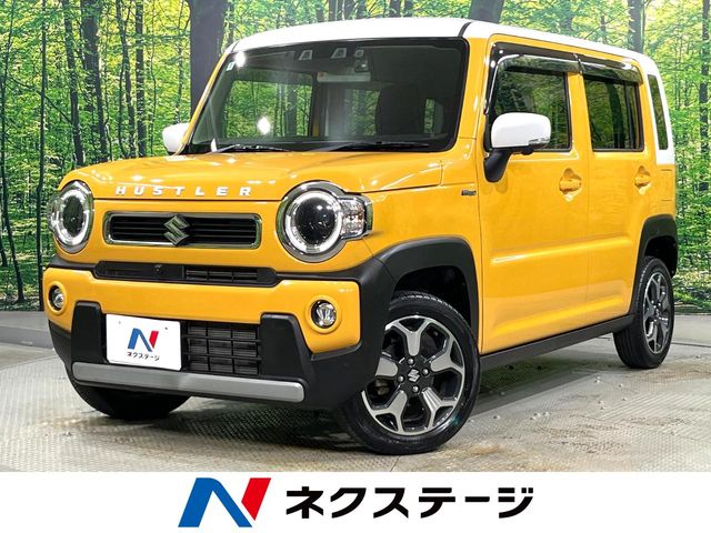 Suzuki Hustler 1