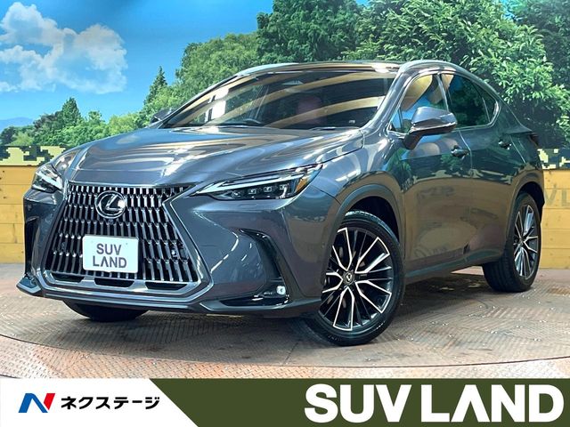 2023 Lexus NX