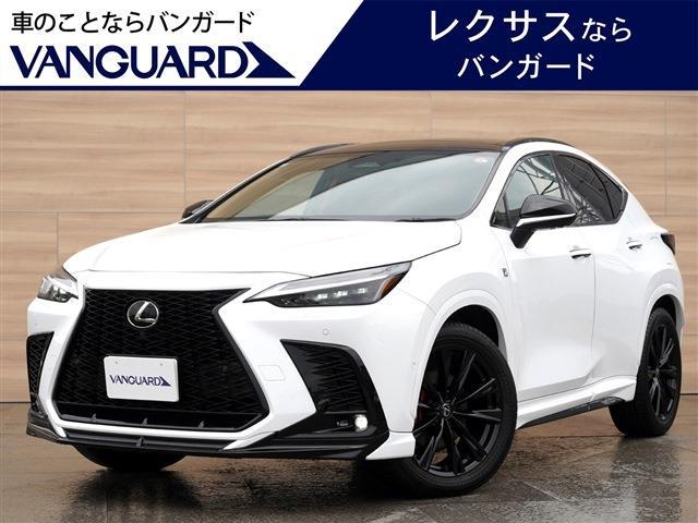 2025 Lexus NX