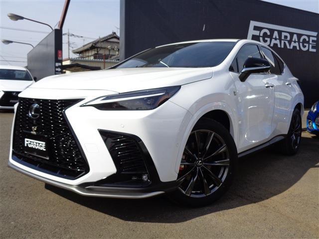 Lexus NX 1