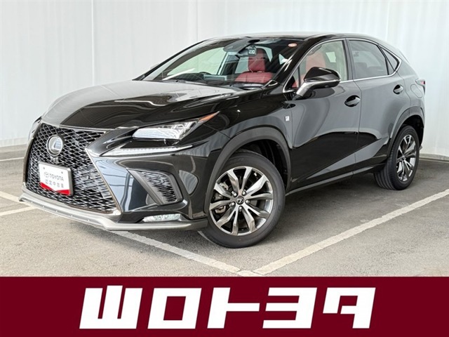 2019 Lexus NX