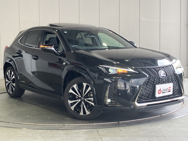 Lexus UX 1
