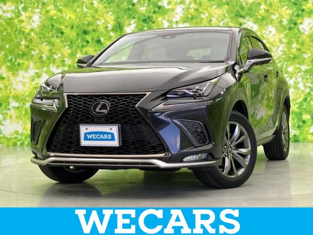 2018 Lexus NX
