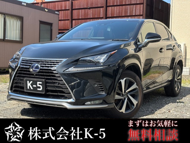 2021 Lexus NX