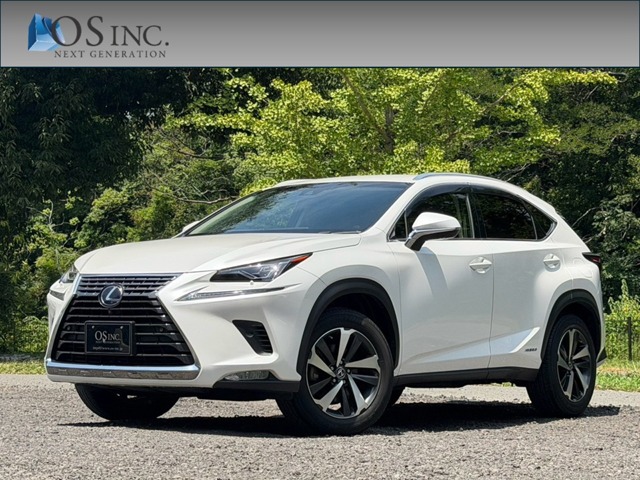 2018 Lexus NX