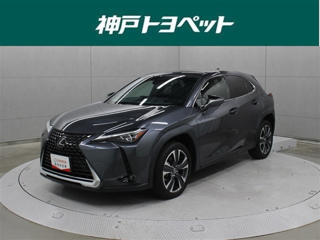 Lexus UX 1
