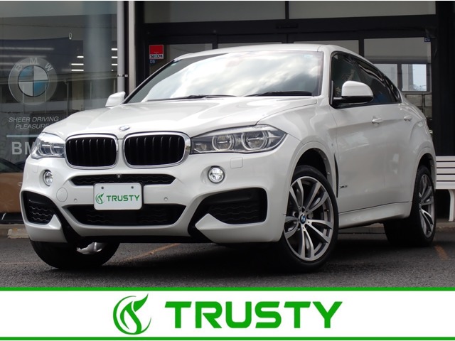 2019 BMW X6
