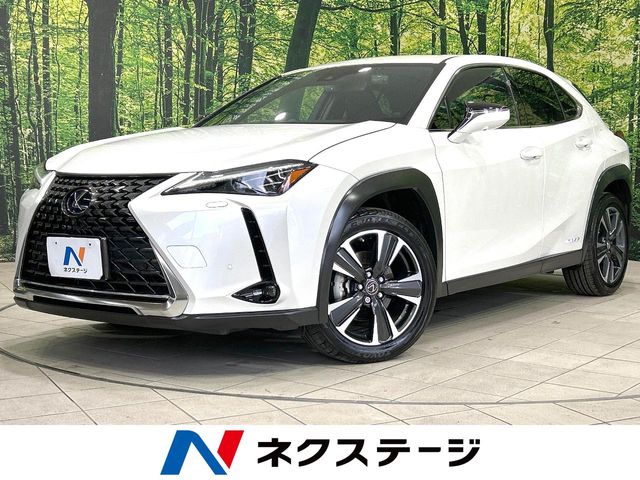 2021 Lexus UX