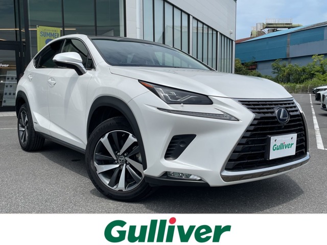 Lexus NX 1