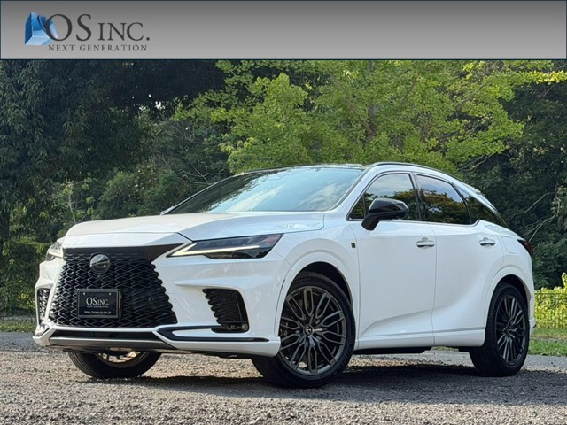 Lexus RX 1