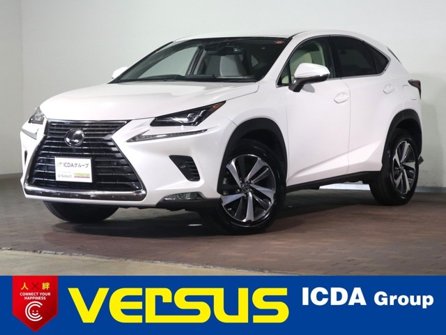 2019 Lexus NX