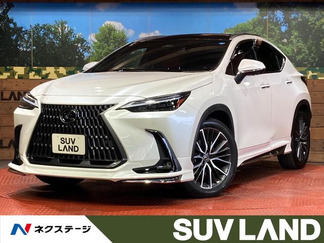 Lexus NX 1