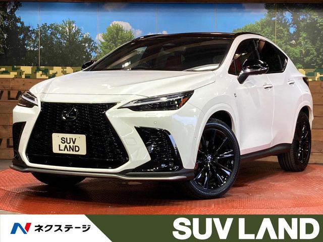 Lexus NX 1