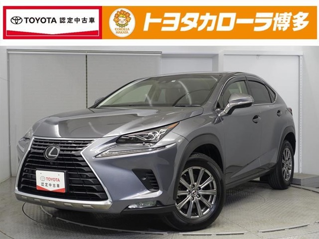 Lexus NX 1