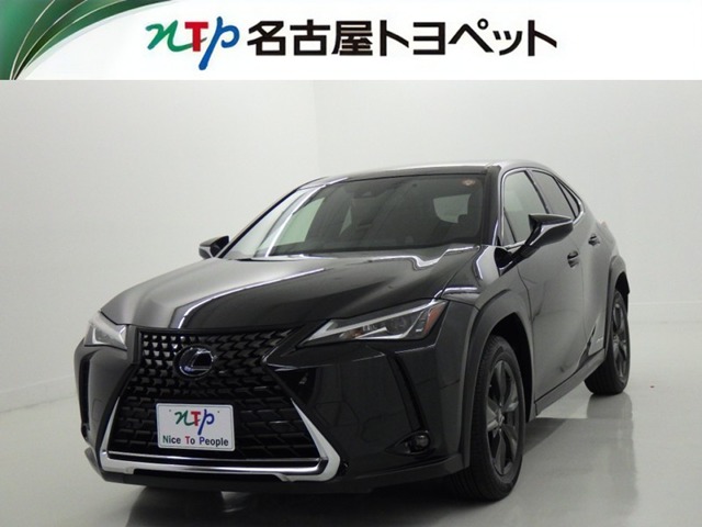 2019 Lexus UX