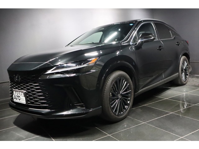 Lexus RX 1