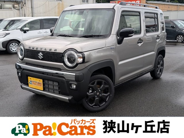 Suzuki Hustler 1