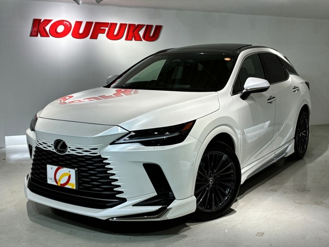 2024 Lexus RX