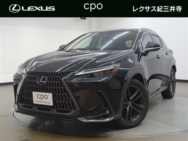 Lexus NX 1