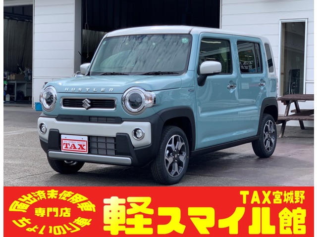 Suzuki Hustler 1