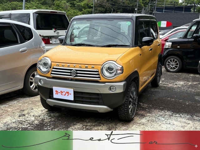 Suzuki Hustler 1