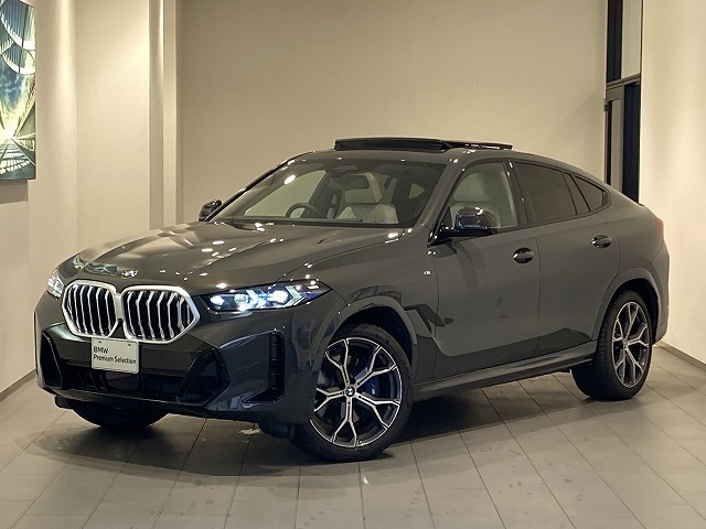 2026 BMW X6
