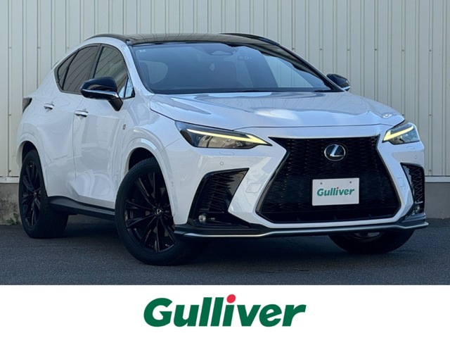 Lexus NX 1