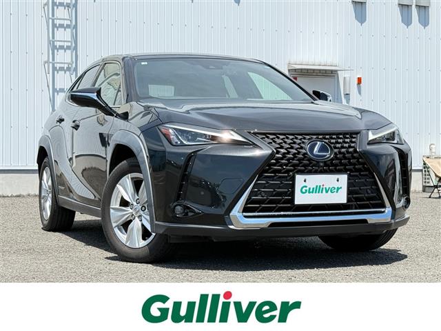 Lexus UX 1