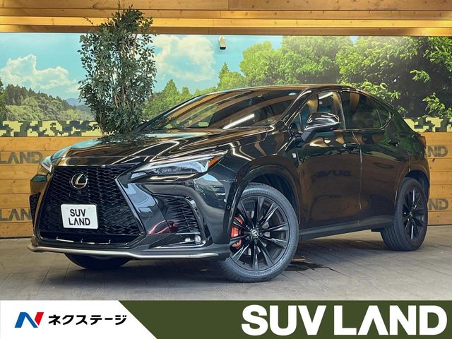 Lexus NX 1