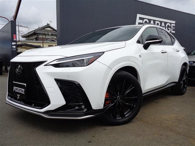 Lexus NX 1