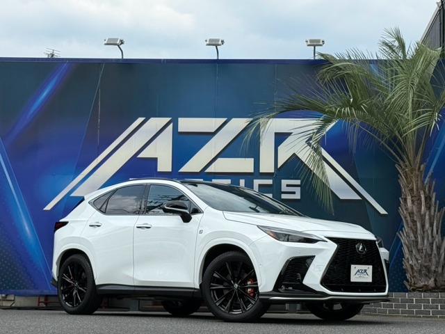 Lexus NX 1