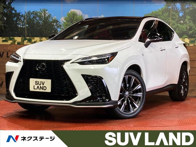 Lexus NX 1