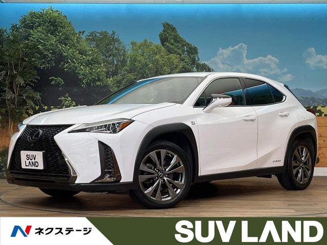 2019 Lexus UX