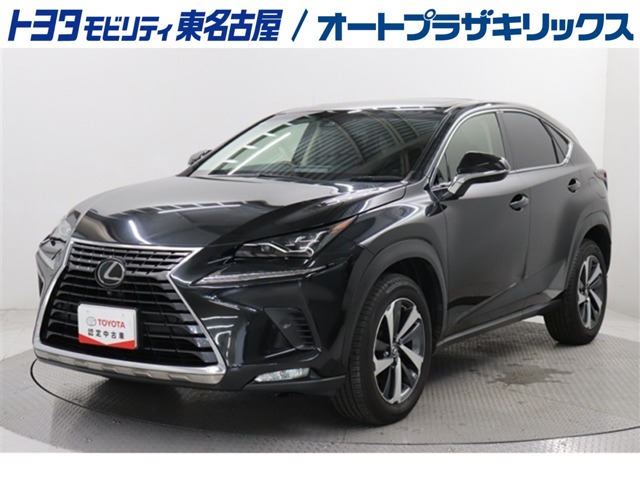 2018 Lexus NX