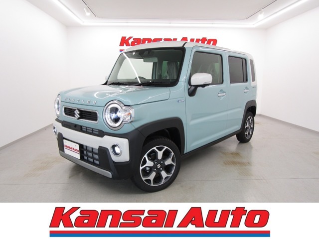 Suzuki Hustler 1