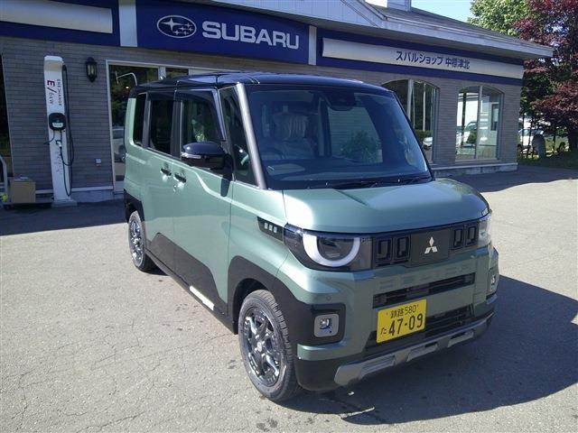 Mitsubishi Delica Mini 1