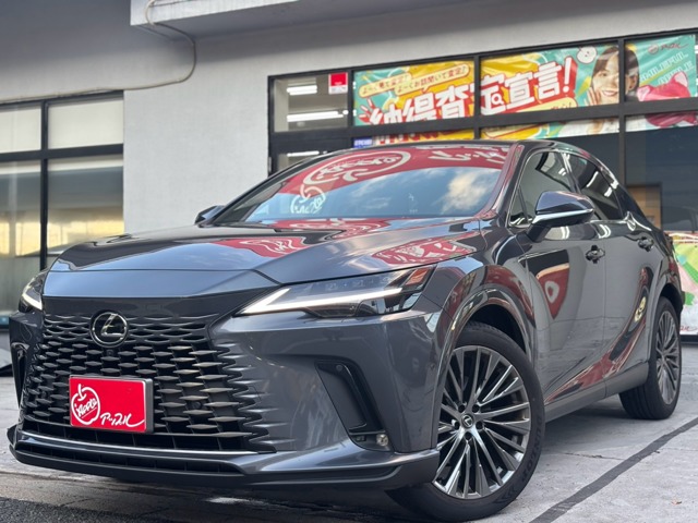 2025 Lexus RX