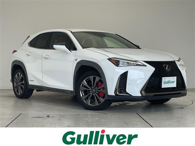 2021 Lexus UX