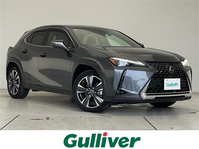 Lexus UX 1