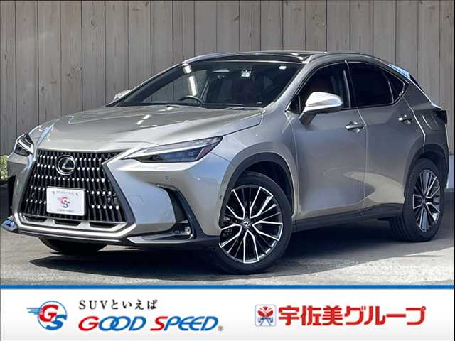 Lexus NX 1