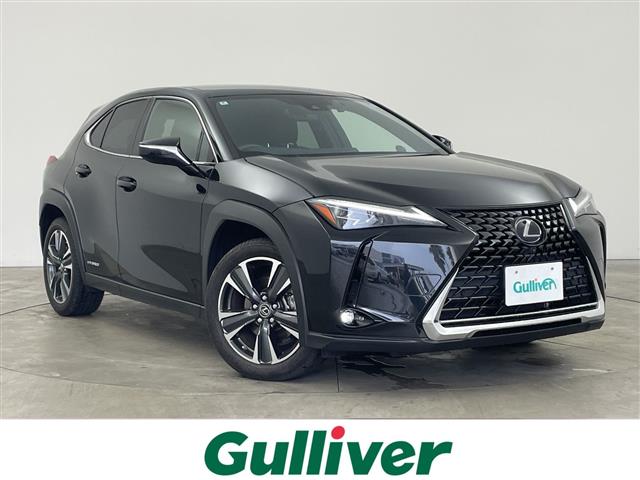 2019 Lexus UX
