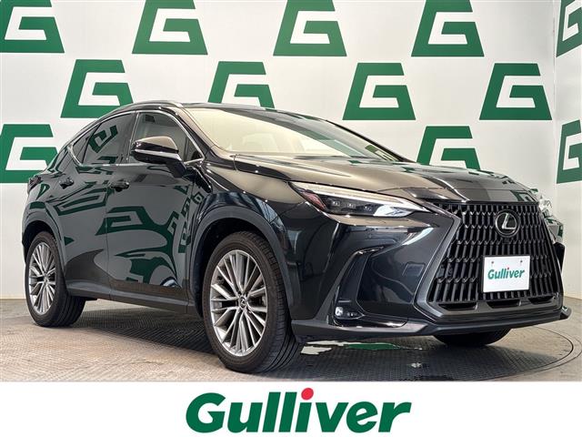 2023 Lexus NX