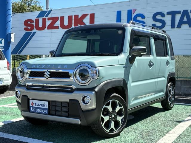 Suzuki Hustler 1