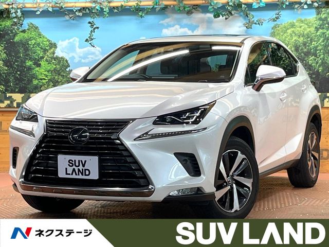 Lexus NX 1