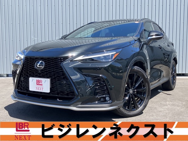 2025 Lexus NX