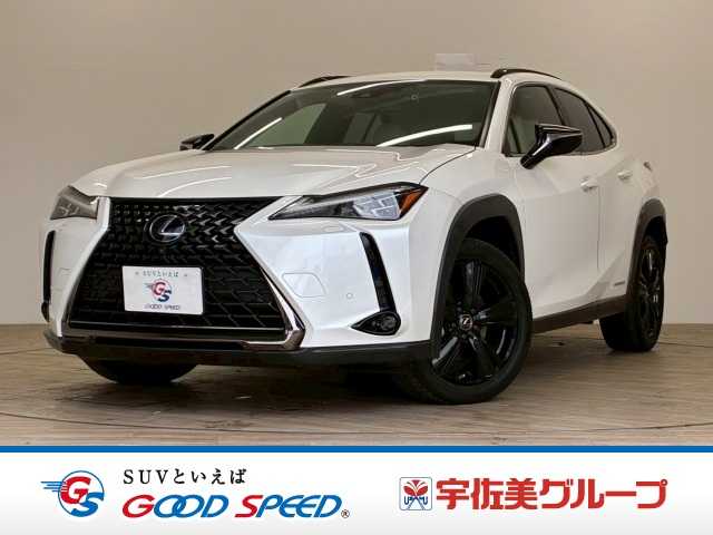 2021 Lexus UX