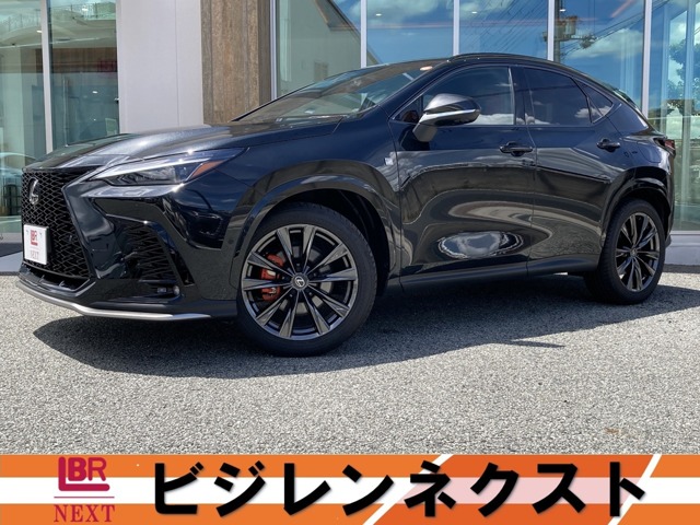 Lexus NX 1