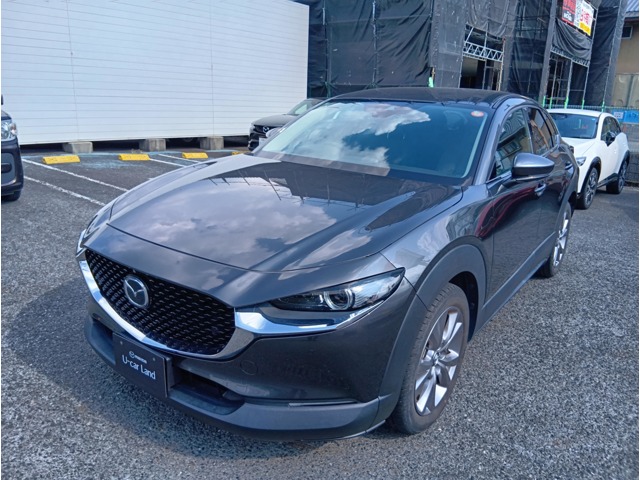 Mazda CX-30 1