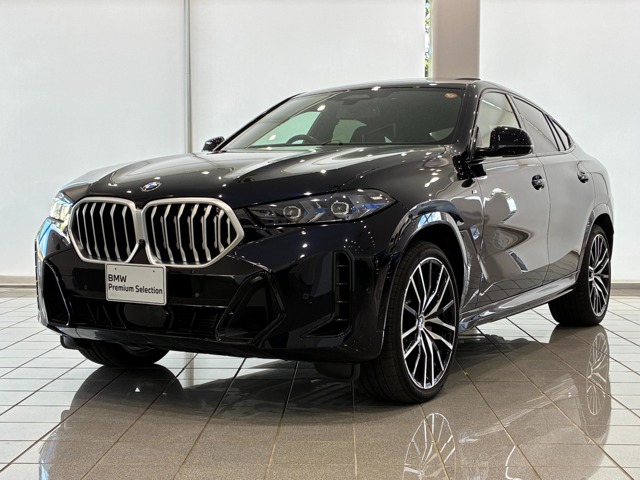 BMW X6 1